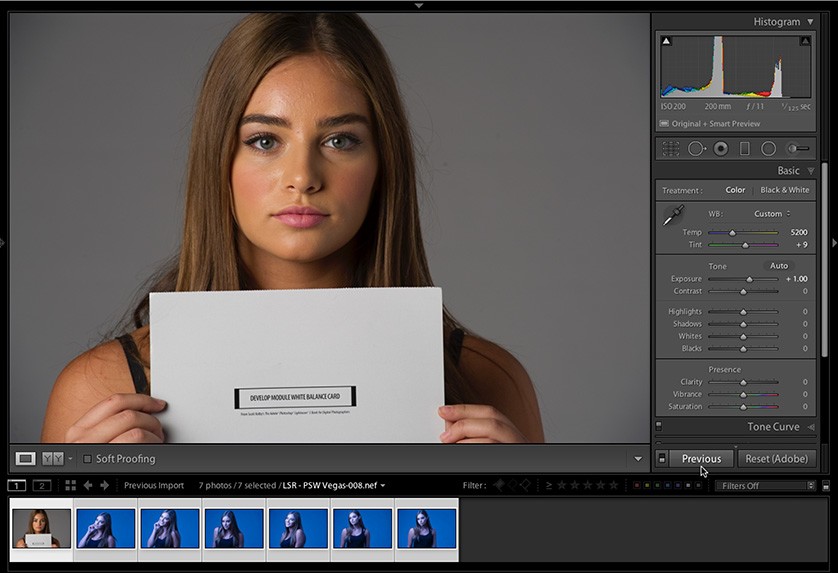 Mastering White Balance A Comprehensive Guide To Using A Gray Card With Lightroom